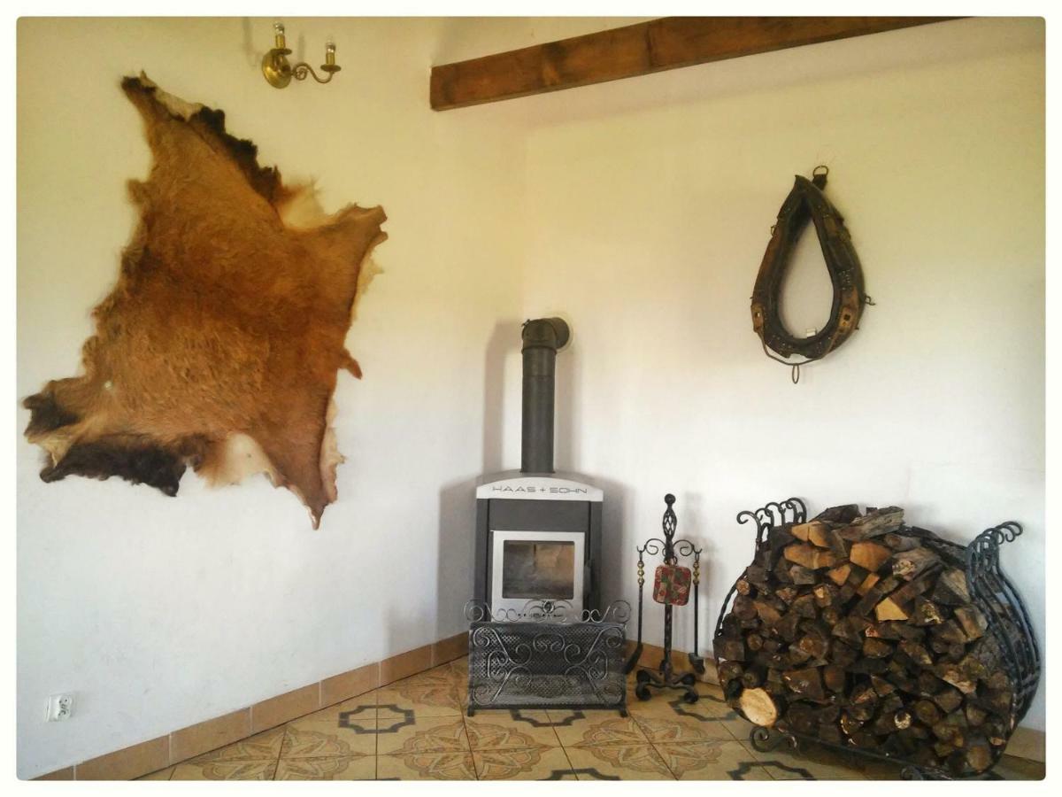 Agroturystyka Leszczynowy Dworek Ponikwa  Exterior foto